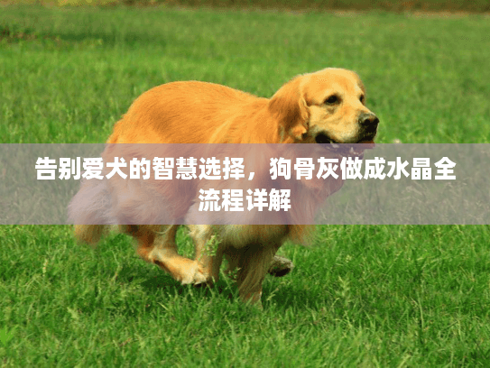 告别爱犬的智慧选择，狗骨灰做成水晶全流程详解