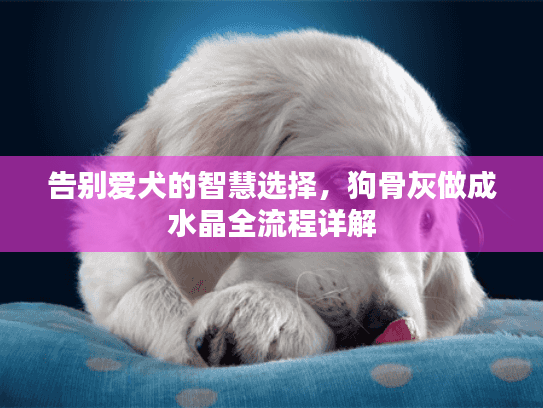 告别爱犬的智慧选择，狗骨灰做成水晶全流程详解