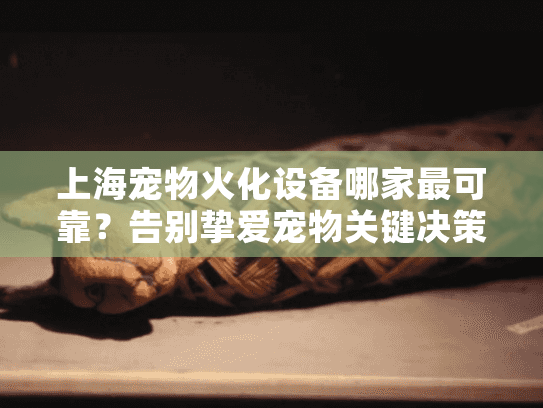 上海宠物火化设备哪家最可靠？告别挚爱宠物关键决策指南