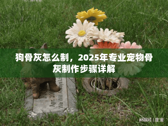 狗骨灰怎么制，2025年专业宠物骨灰制作步骤详解