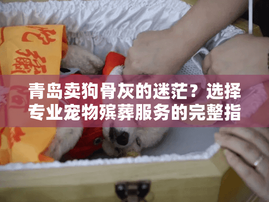 青岛卖狗骨灰的迷茫？选择专业宠物殡葬服务的完整指南
