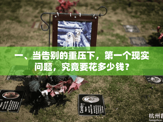 一、当告别的重压下，第一个现实问题，究竟要花多少钱？