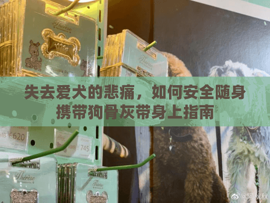 失去爱犬的悲痛，如何安全随身携带狗骨灰带身上指南