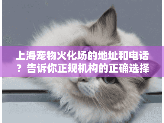 上海宠物火化场的地址和电话？告诉你正规机构的正确选择方法!