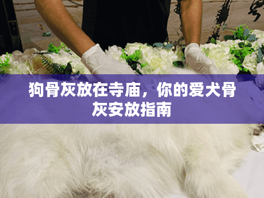 狗骨灰放在寺庙，你的爱犬骨灰安放指南