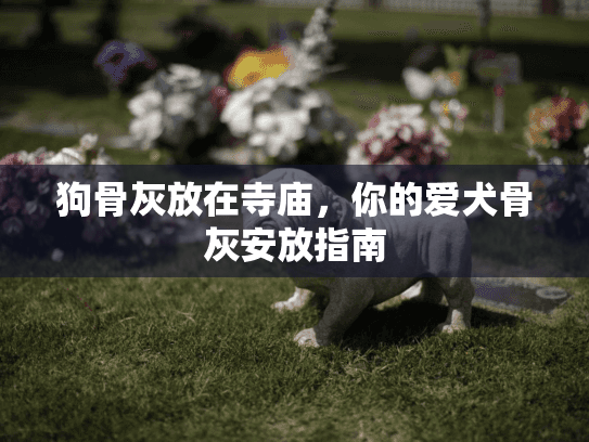 狗骨灰放在寺庙，你的爱犬骨灰安放指南