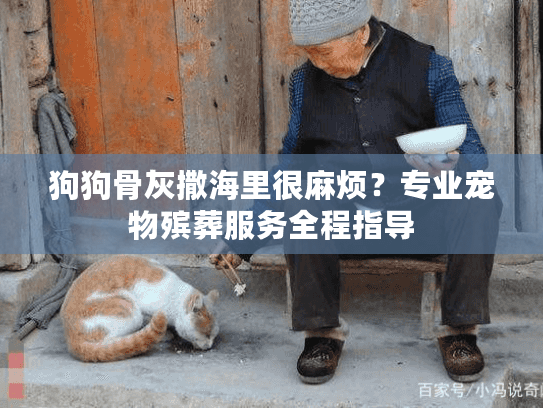 狗狗骨灰撒海里很麻烦？专业宠物殡葬服务全程指导