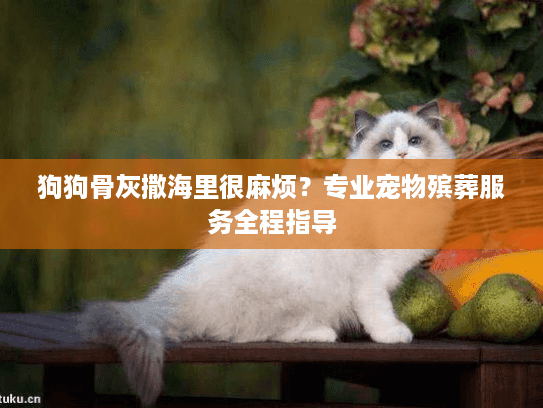 狗狗骨灰撒海里很麻烦？专业宠物殡葬服务全程指导