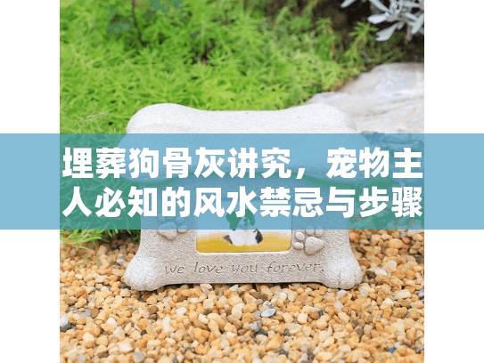 埋葬狗骨灰讲究，宠物主人必知的风水禁忌与步骤指南