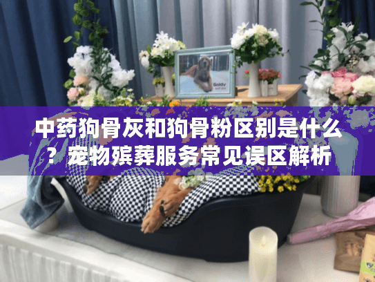 中药狗骨灰和狗骨粉区别是什么？宠物殡葬服务常见误区解析