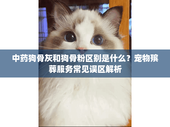 中药狗骨灰和狗骨粉区别是什么？宠物殡葬服务常见误区解析