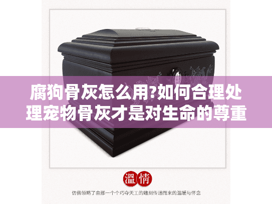 腐狗骨灰怎么用?如何合理处理宠物骨灰才是对生命的尊重