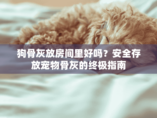 狗骨灰放房间里好吗？安全存放宠物骨灰的终极指南