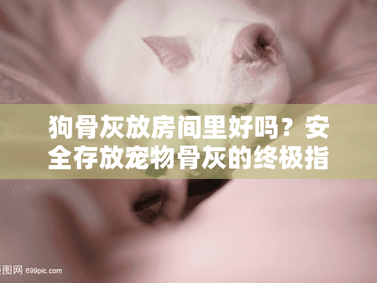 狗骨灰放房间里好吗？安全存放宠物骨灰的终极指南