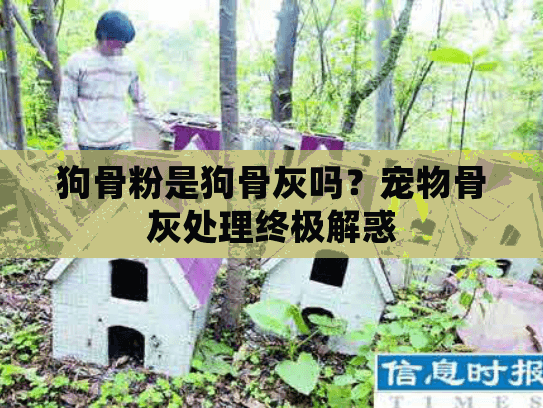 狗骨粉是狗骨灰吗？宠物骨灰处理终极解惑