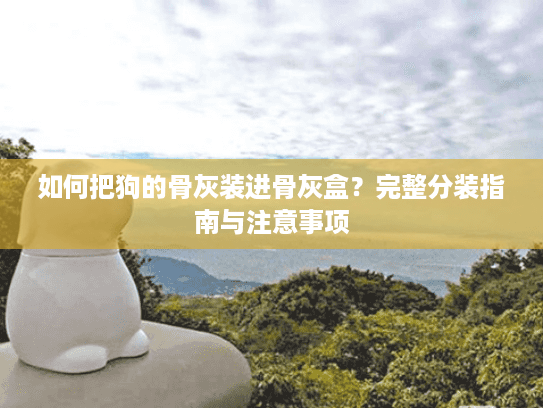 如何把狗的骨灰装进骨灰盒？完整分装指南与注意事项