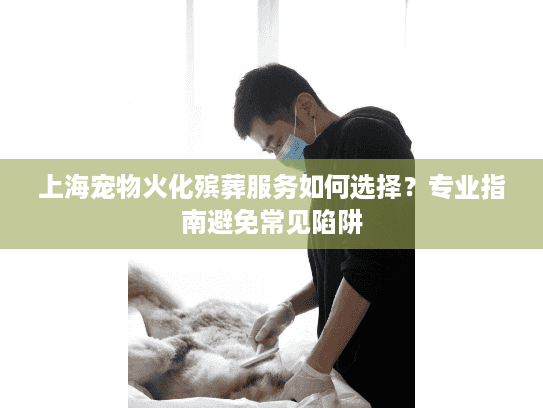 上海宠物火化殡葬服务如何选择？专业指南避免常见陷阱