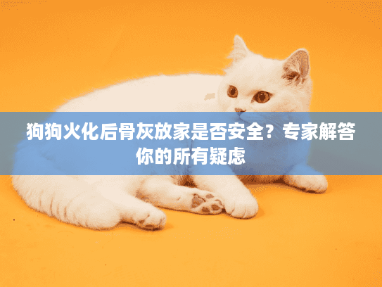 狗狗火化后骨灰放家是否安全？专家解答你的所有疑虑