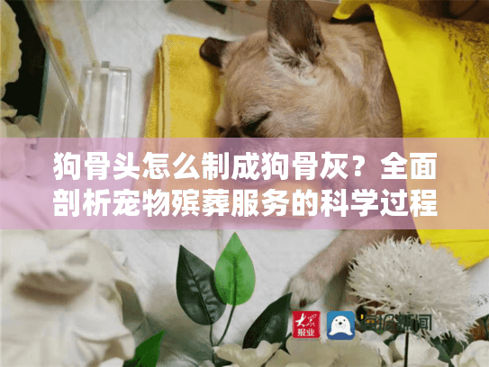 狗骨头怎么制成狗骨灰？全面剖析宠物殡葬服务的科学过程
