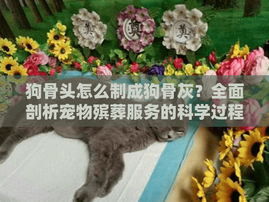 狗骨头怎么制成狗骨灰？全面剖析宠物殡葬服务的科学过程