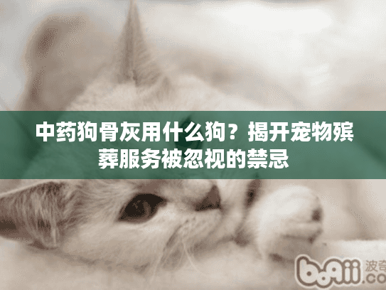中药狗骨灰用什么狗？揭开宠物殡葬服务被忽视的禁忌