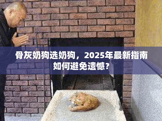 骨灰奶狗选奶狗，2025年最新指南如何避免遗憾？