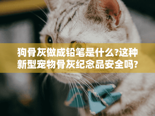 狗骨灰做成铅笔是什么?这种新型宠物骨灰纪念品安全吗?