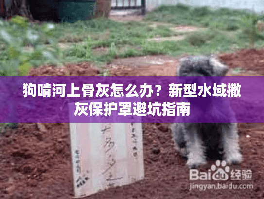 狗啃河上骨灰怎么办？新型水域撒灰保护罩避坑指南