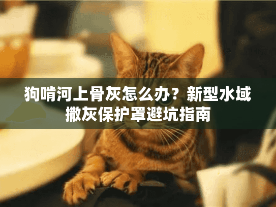 狗啃河上骨灰怎么办？新型水域撒灰保护罩避坑指南