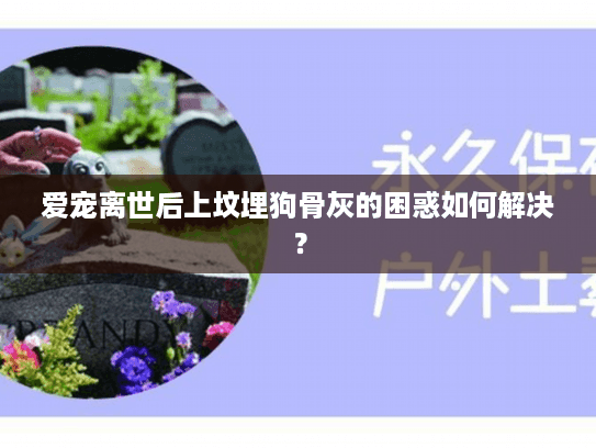 爱宠离世后上坟埋狗骨灰的困惑如何解决？