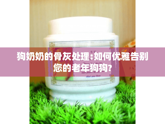 狗奶奶的骨灰处理:如何优雅告别您的老年狗狗?