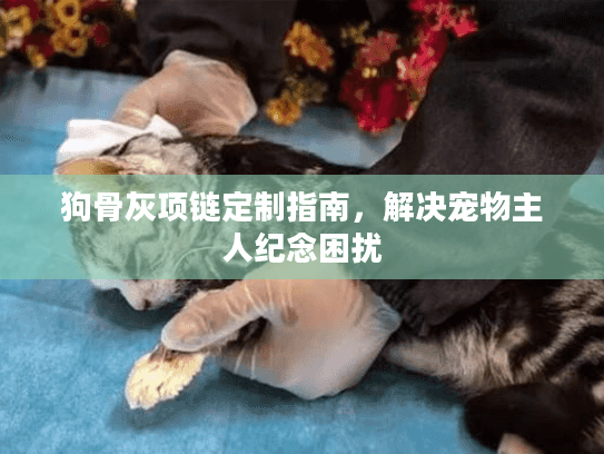 狗骨灰项链定制指南，解决宠物主人纪念困扰