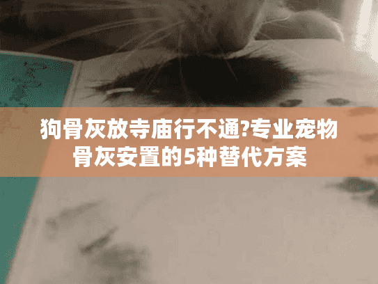 狗骨灰放寺庙行不通?专业宠物骨灰安置的5种替代方案