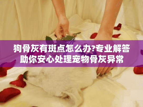 狗骨灰有斑点怎么办?专业解答助你安心处理宠物骨灰异常