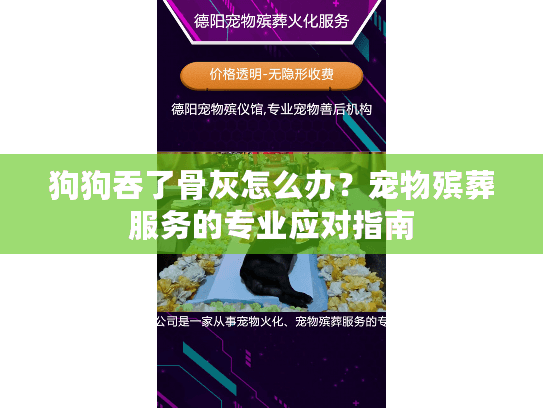 狗狗吞了骨灰怎么办？宠物殡葬服务的专业应对指南