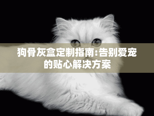 狗骨灰盒定制指南:告别爱宠的贴心解决方案