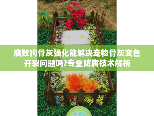 腐败狗骨灰强化能解决宠物骨灰变色开裂问题吗?专业防腐技术解析 腐败狗骨灰强化能解决宠物骨灰变色开裂问题吗?专业防腐技术解析
