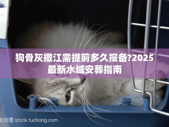 狗骨灰撒江需提前多久报备?2025最新水域安葬指南