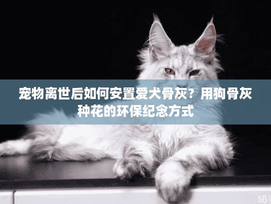 宠物离世后如何安置爱犬骨灰？用狗骨灰种花的环保纪念方式