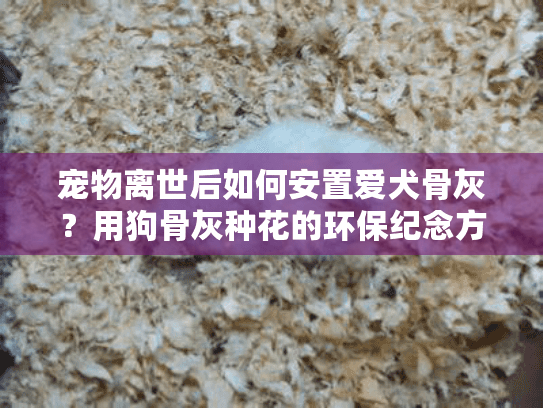 宠物离世后如何安置爱犬骨灰？用狗骨灰种花的环保纪念方式