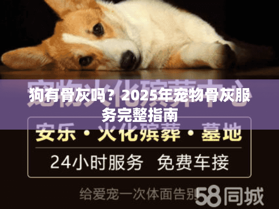 狗有骨灰吗？2025年宠物骨灰服务完整指南