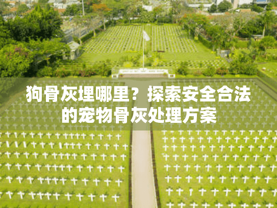 狗骨灰埋哪里？探索安全合法的宠物骨灰处理方案