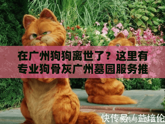 在广州狗狗离世了？这里有专业狗骨灰广州墓园服务推荐