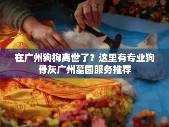 在广州狗狗离世了？这里有专业狗骨灰广州墓园服务推荐