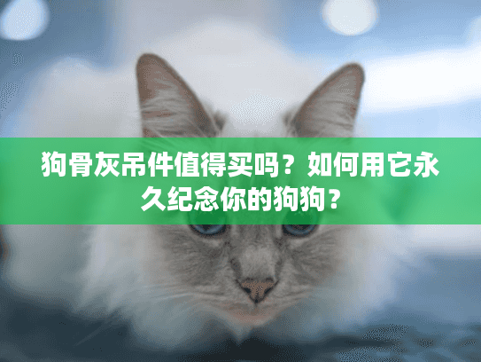 狗骨灰吊件值得买吗？如何用它永久纪念你的狗狗？