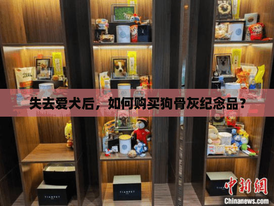 失去爱犬后，如何购买狗骨灰纪念品？
