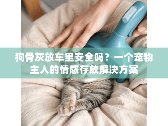 狗骨灰放车里安全吗？一个宠物主人的情感存放解决方案