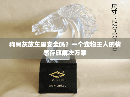 狗骨灰放车里安全吗？一个宠物主人的情感存放解决方案