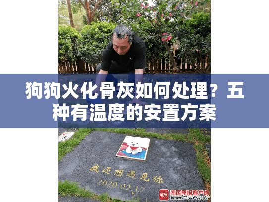 狗狗火化骨灰如何处理？五种有温度的安置方案