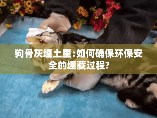 狗骨灰埋土里:如何确保环保安全的埋藏过程?